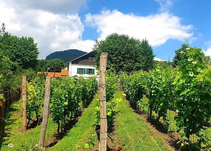 Semesterbostad Haus 44 Libesice